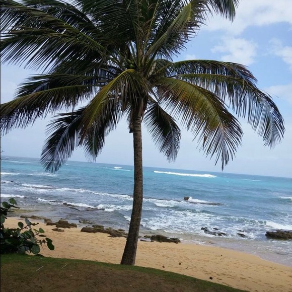 Meet your Posher, Sheila - Picture 1 of 1